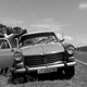 Illustration for article titled Ethiopia Is Growing Out Of Its Classic Peugeot Taxis